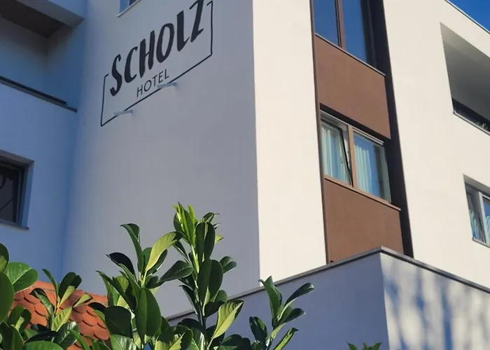 Scholz 3*